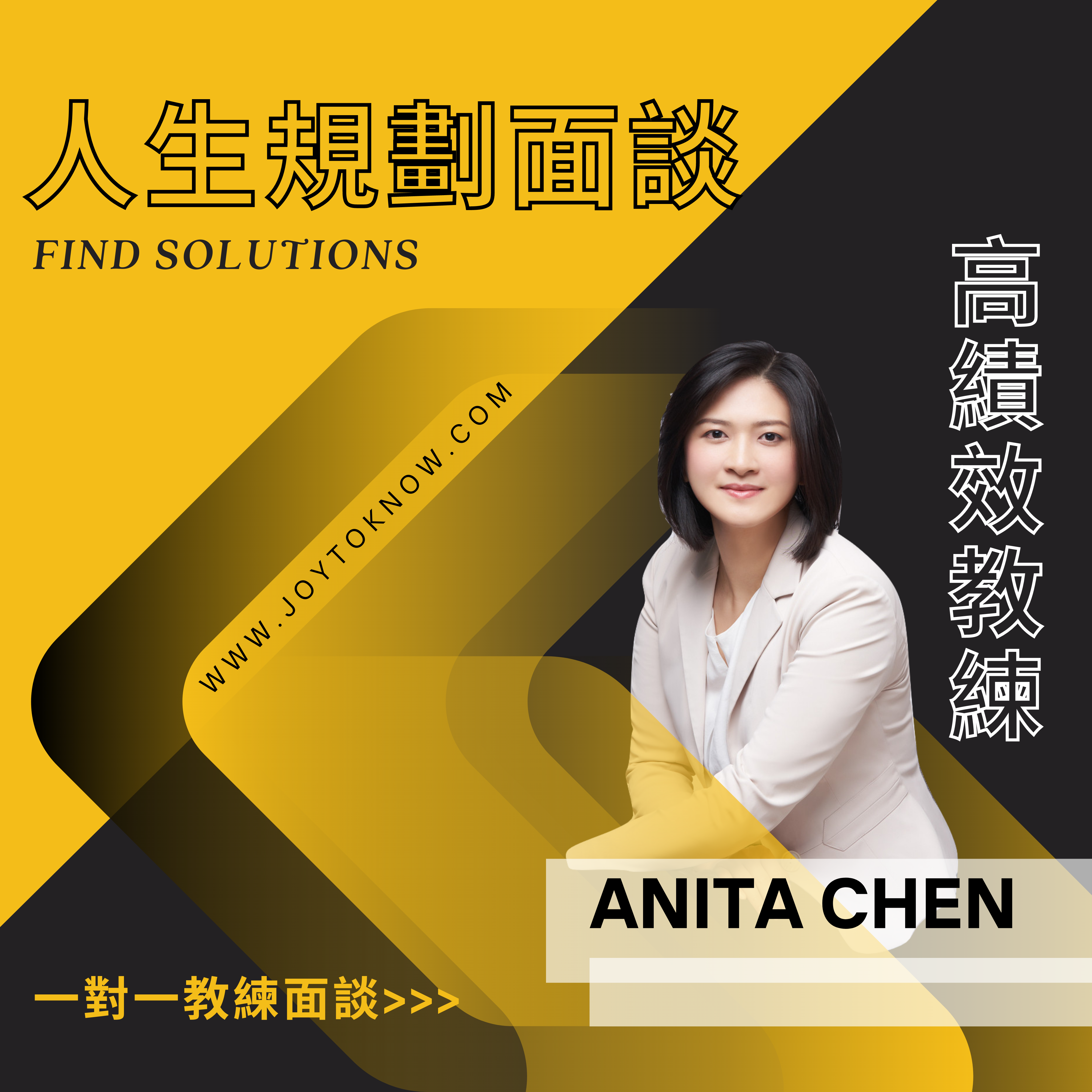 人生規劃面談 Findsolutions 高績效教練 Anita Chen 一對一教練面談