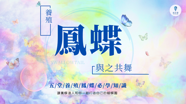 20230809養殖鳳蝶與之共舞 1920x1080 banner